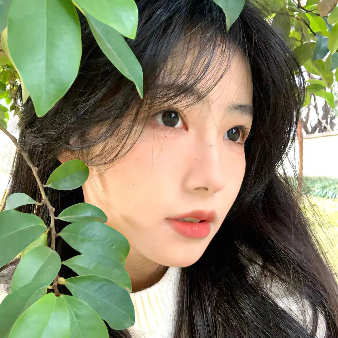 牵手 在线观看封面